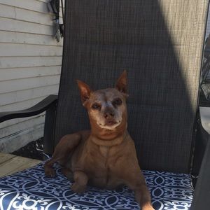 Meet your Posher, Heather